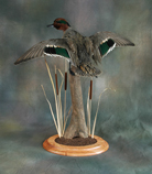 green wing table base